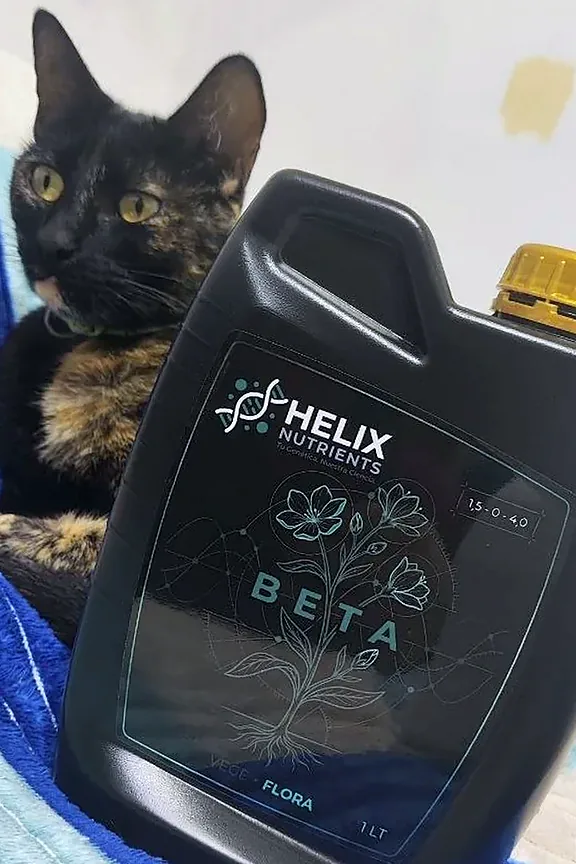 Envase HELIX BETA de 1 L con una gata carey detrás, foto real