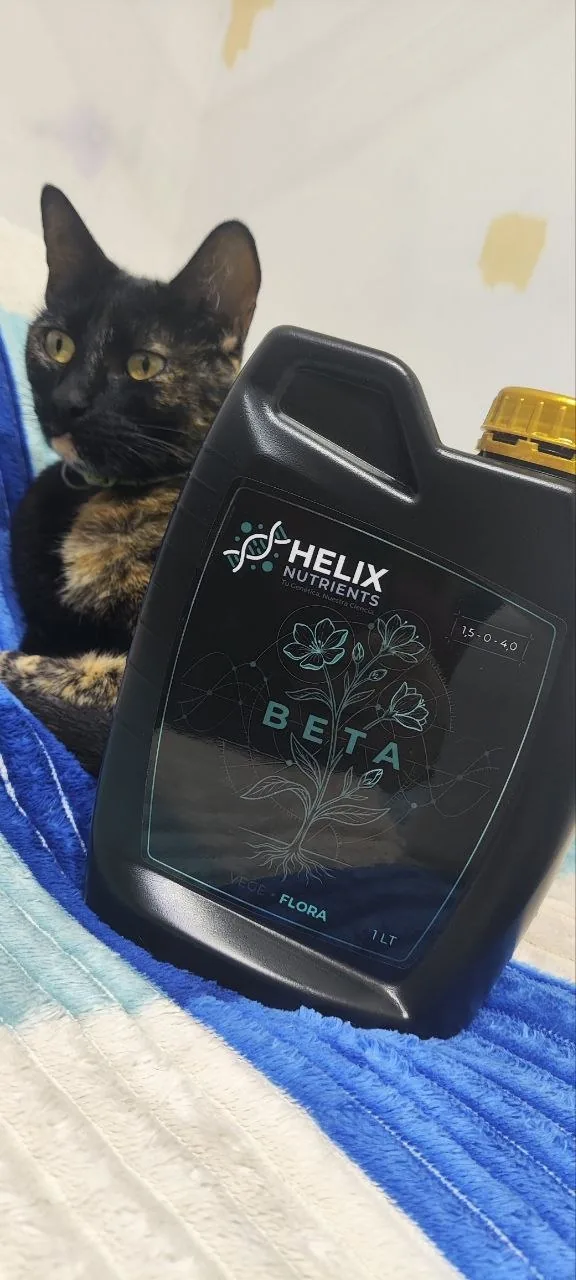Envase HELIX BETA de 1 L, foto real