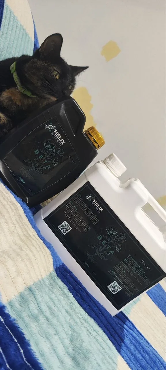 Envase HELIX BETA de 1 L junto a un envase blanco con etiqueta BETA, foto real